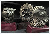 Mascot Resins