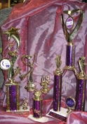 Relay 4 Life Trophies