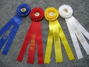 Science Fair Ribbons